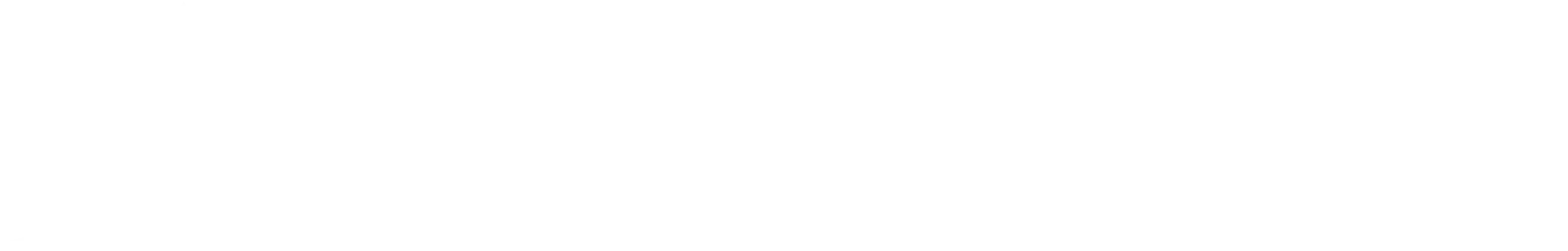 Logo partner |THE SECRETS OF STYLE